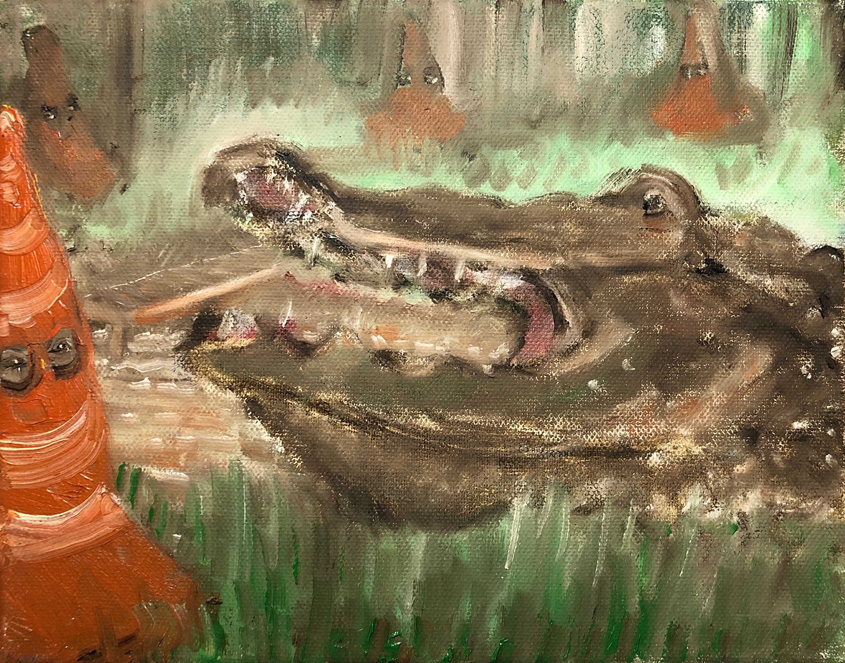 Swampy hide and seek