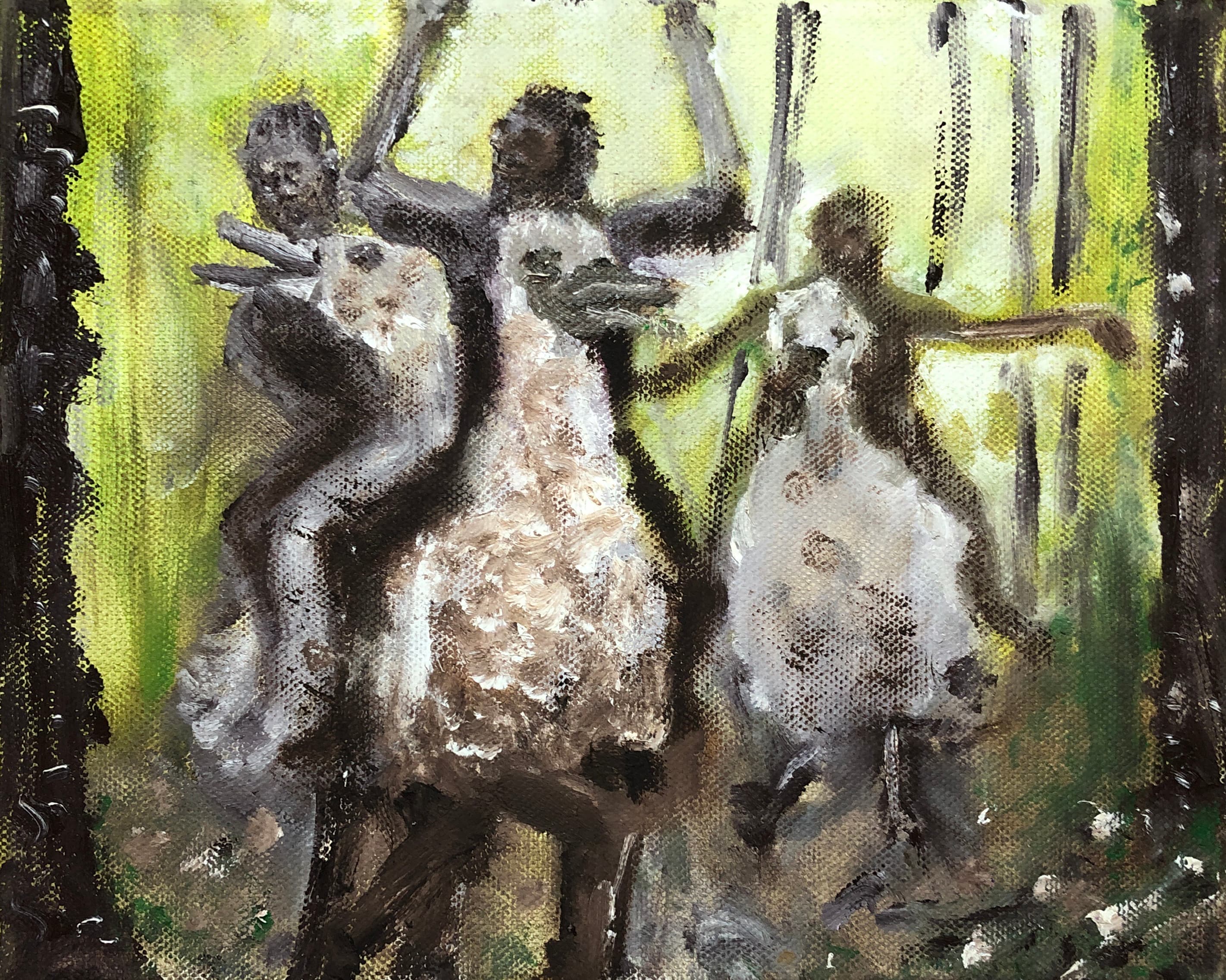 My wild duck riding brothers