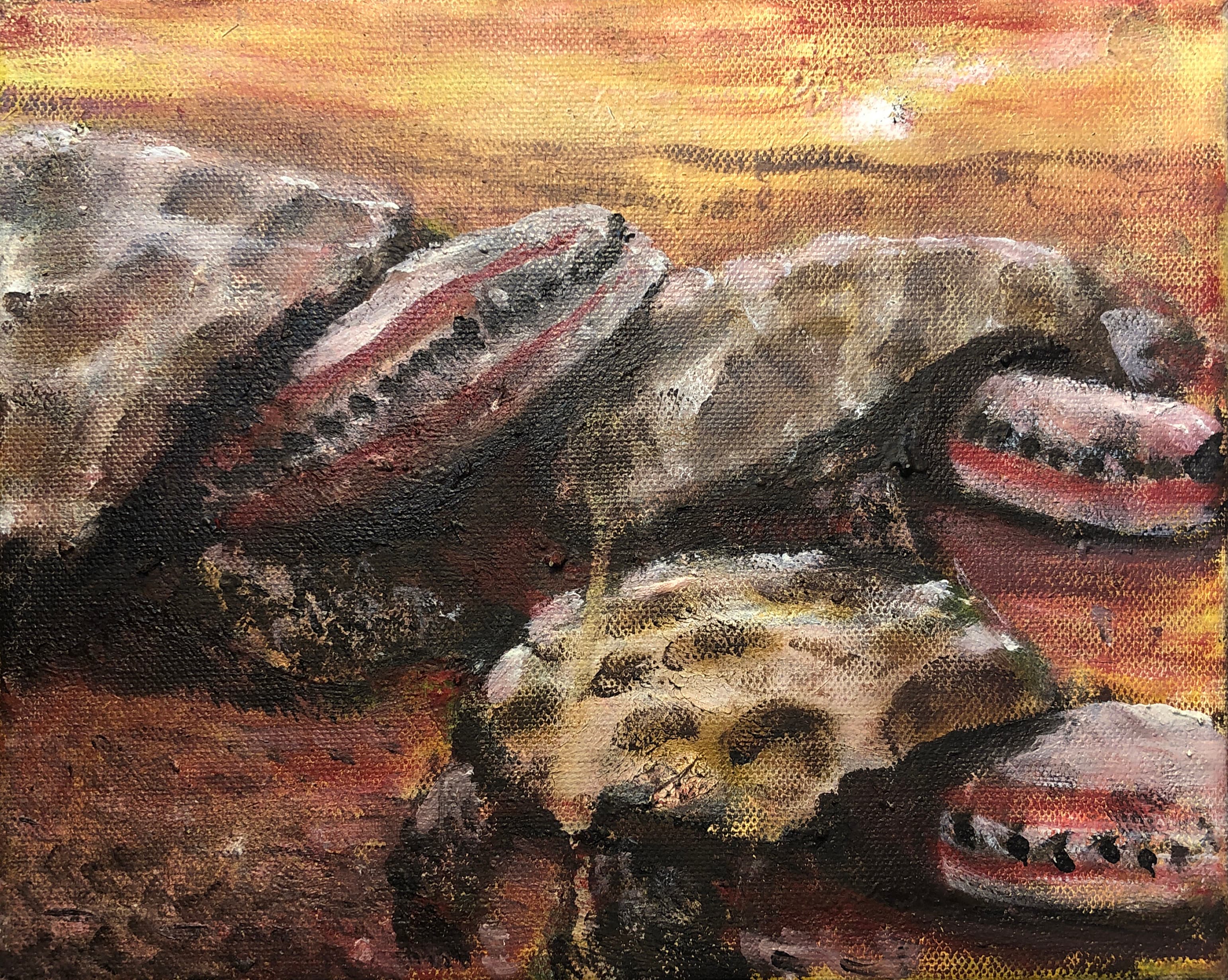 Plodding Jumbo Shells