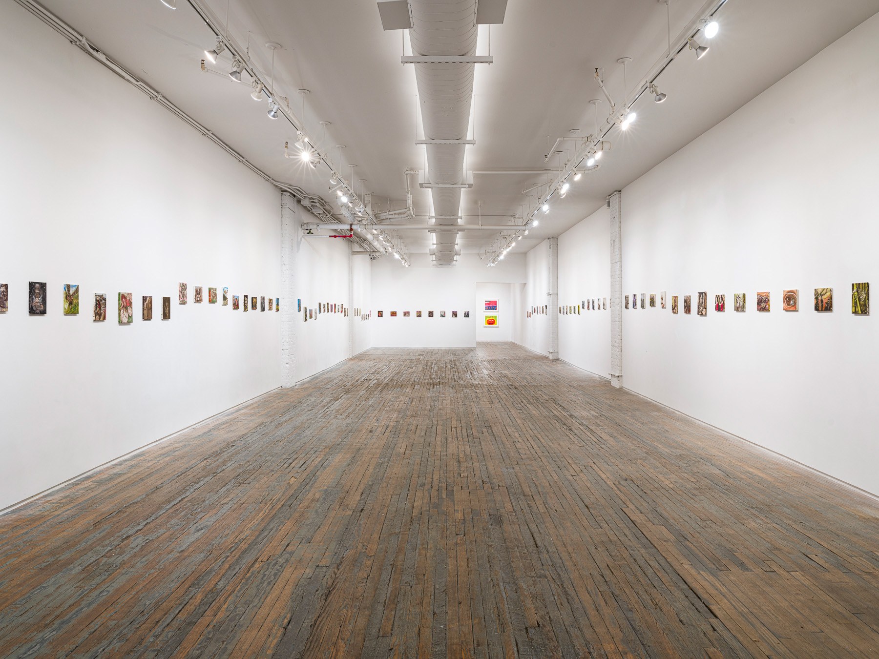 A long view through Amanita Gallery with small paintings installed in a continuous line along both walls