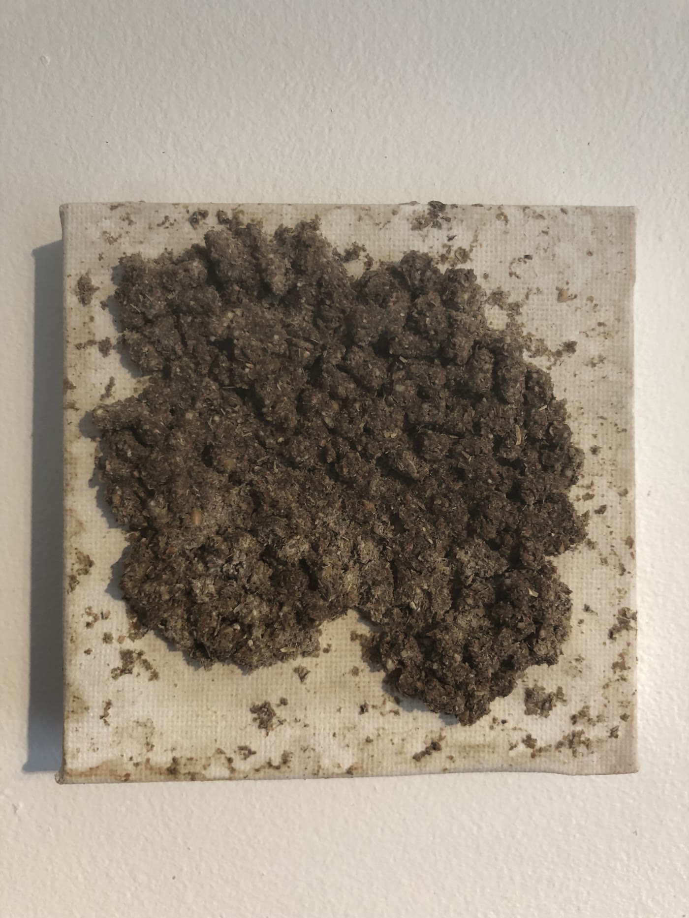 A small rectangular canvas covered with chicken feed and irregular marks after being pecked