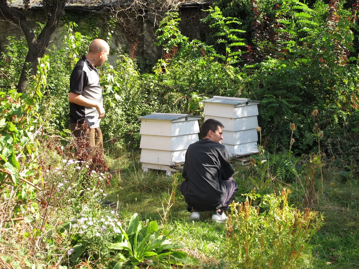 Two unidentified people among plants and beehives in the garden at St Swithun’s